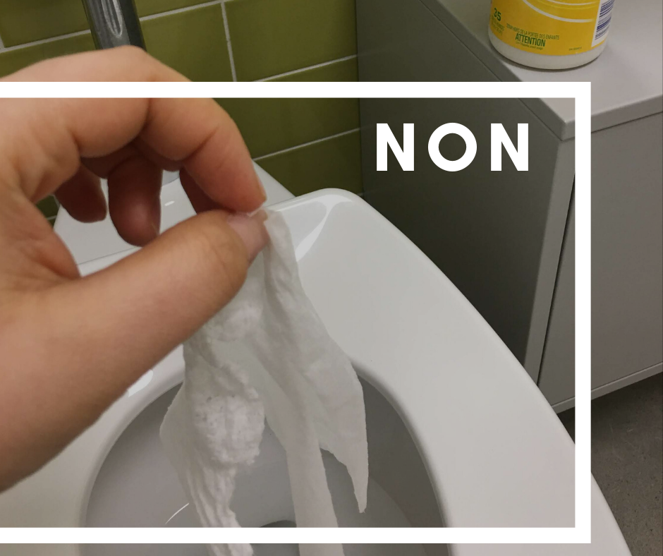 Ville de East Angus - PAS DE LINGETTES DANS LA TOILETTE ! NE JETER PAS LES  LINGETTES DÉSINFECTANTES DANS LES TOILETTES ! JETER LES LINGETTES À LA  POUBELLE ! Bravo à tous